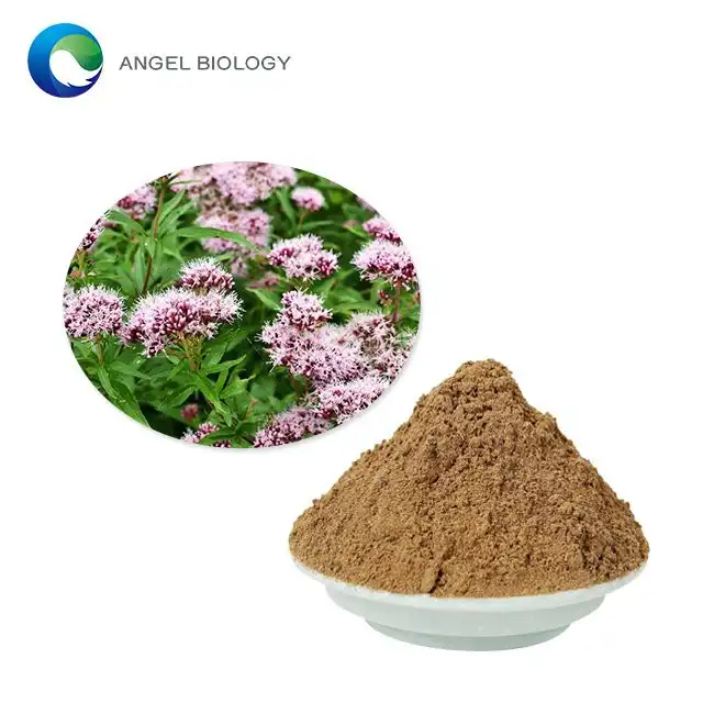 Valerian Root Extract Powder